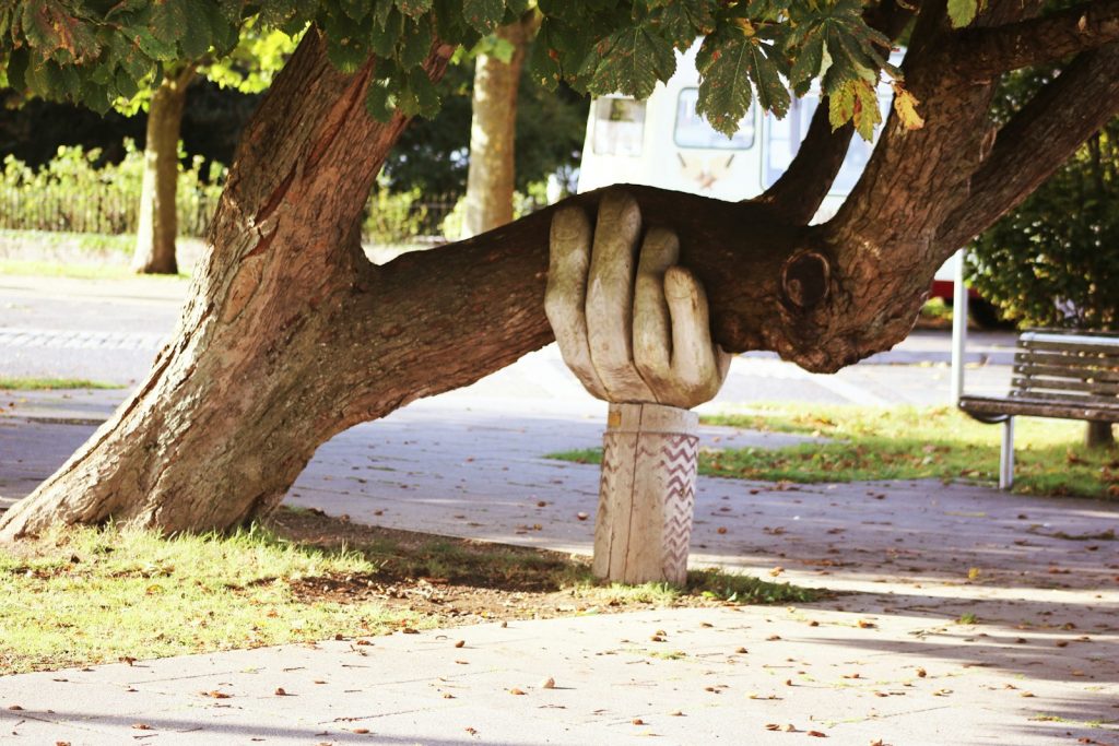 brown tree supported by wooden hand sculture